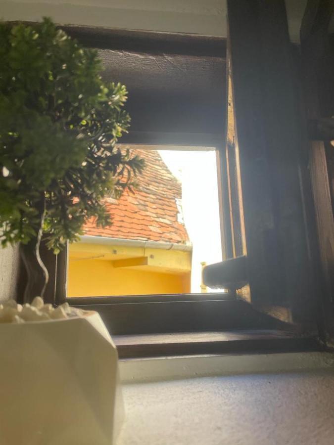 Sweet-Bombon Sibiu Apartment ภายนอก รูปภาพ