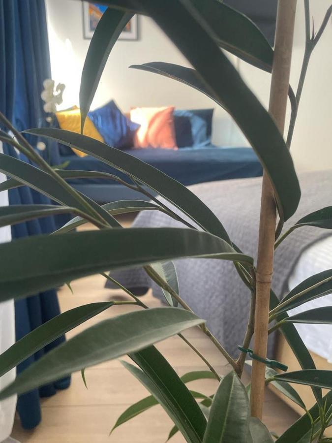 Sweet-Bombon Sibiu Apartment ภายนอก รูปภาพ
