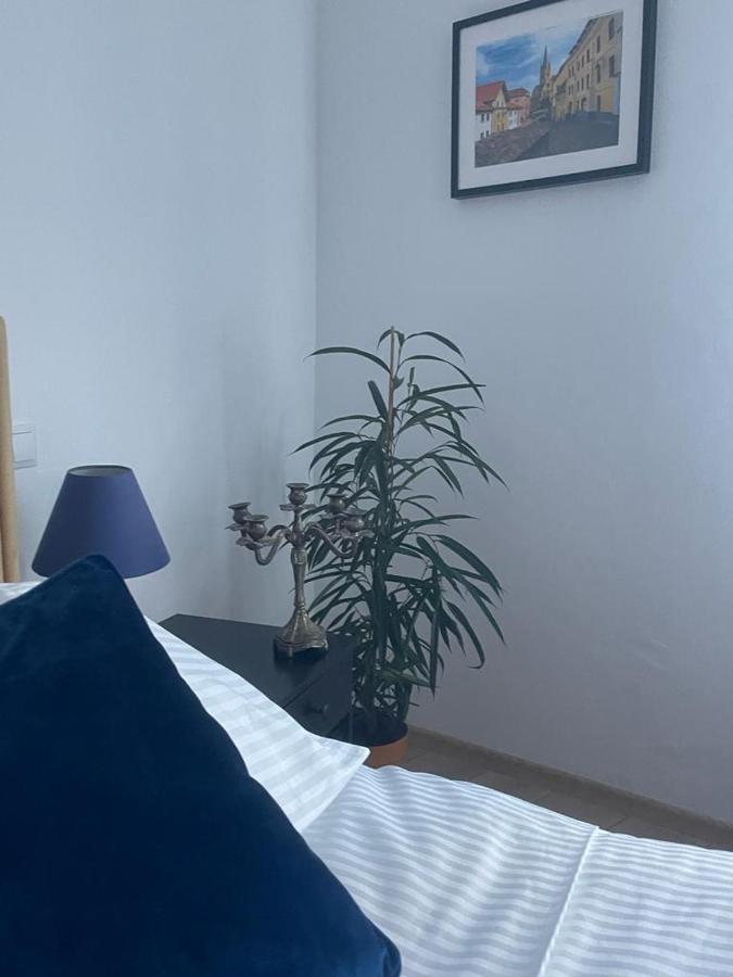 Sweet-Bombon Sibiu Apartment ภายนอก รูปภาพ